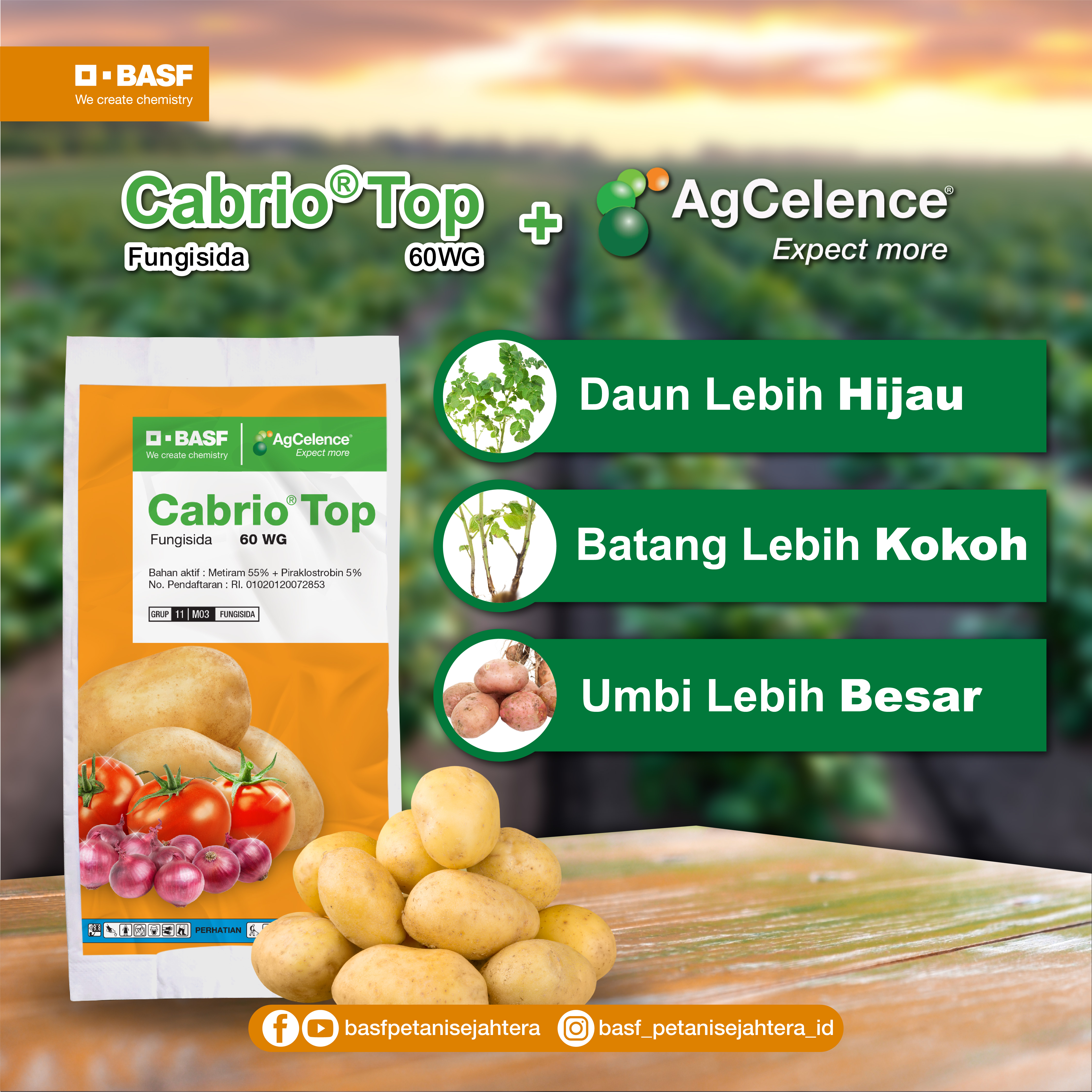 Rahasia Panen Kentang Jumbo: Cabrio Top 60WG dan Teknologi Agcelence! 