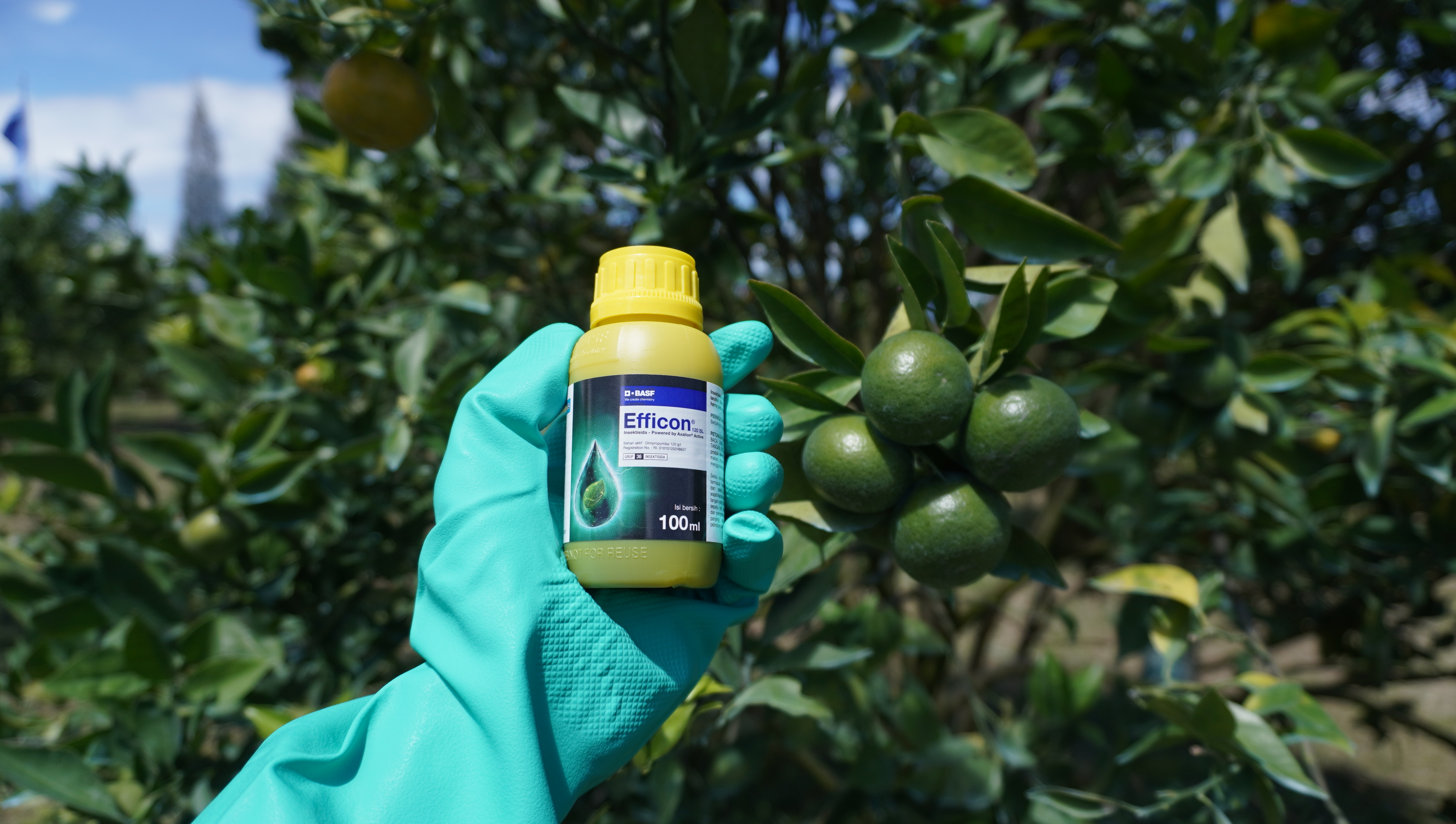 BASF Efficon