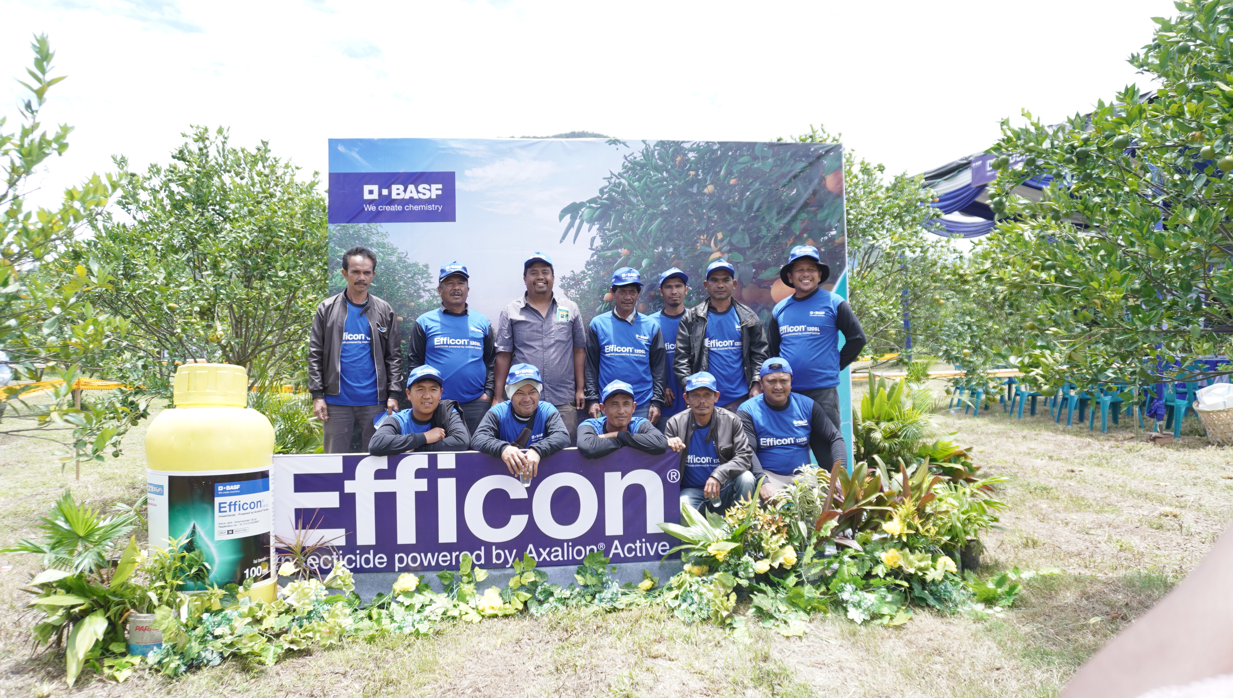 BASF Eficon