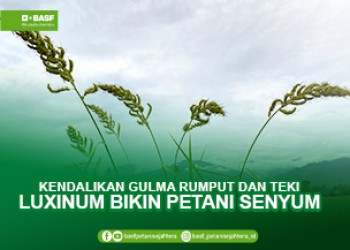 Luxinum untuk Gulma Rumput dan Teki thumbnail