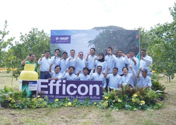 BASF Efficon