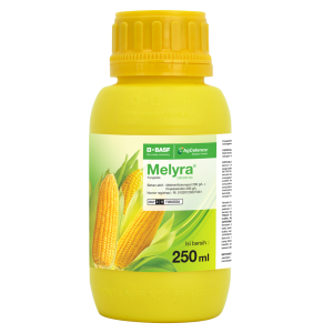 Melyra®  200/200 SC