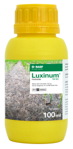 luxinum