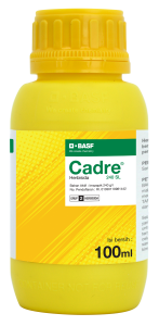Cadre