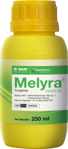Melyra Bottle New