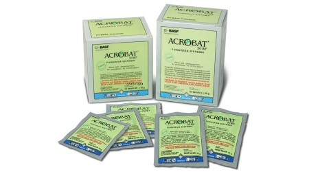 Acrobat® 50 WP Fungisida | BASF Crop Solutions Indonesia