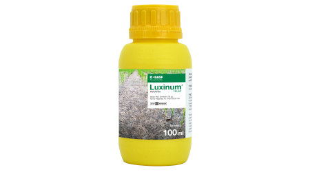 luxinum
