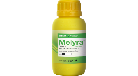 Melyra Bottle New