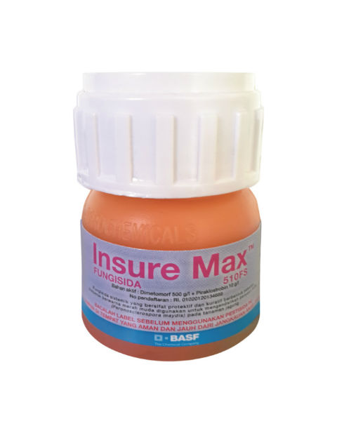 Insure Max