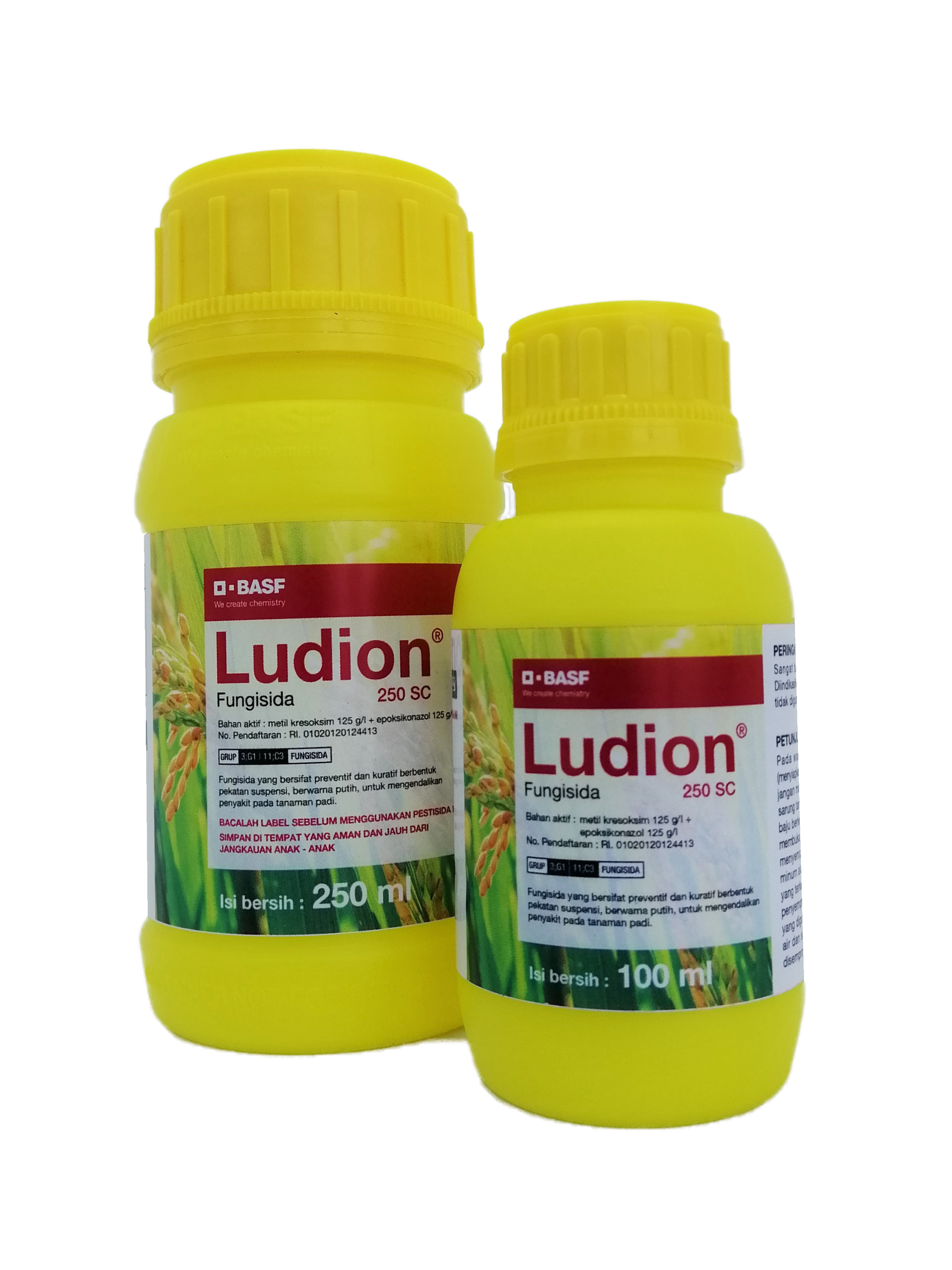 Ludion™ 250 SC